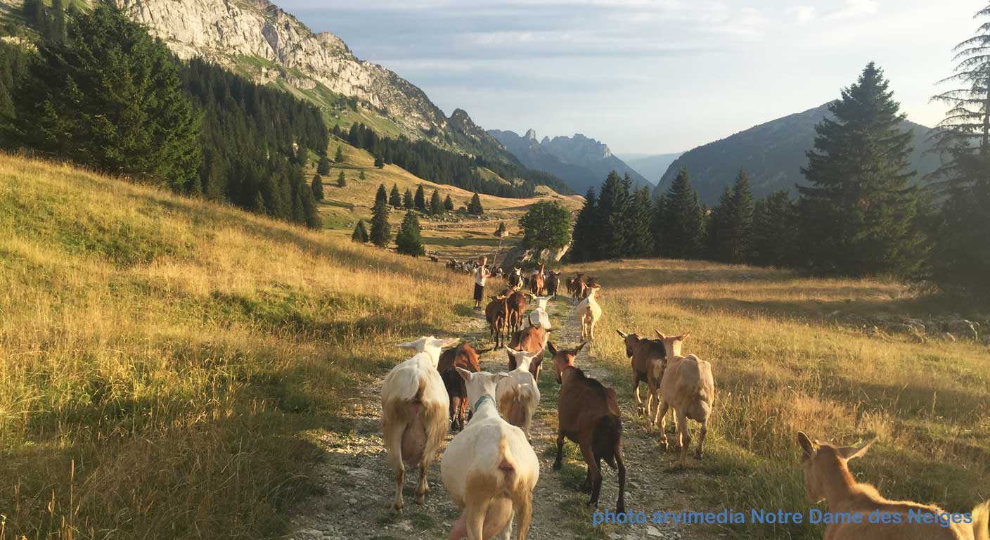 bienvenue dans les Alpes 