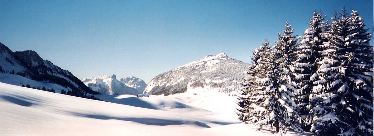 Paysage féérique montagne sous la neige