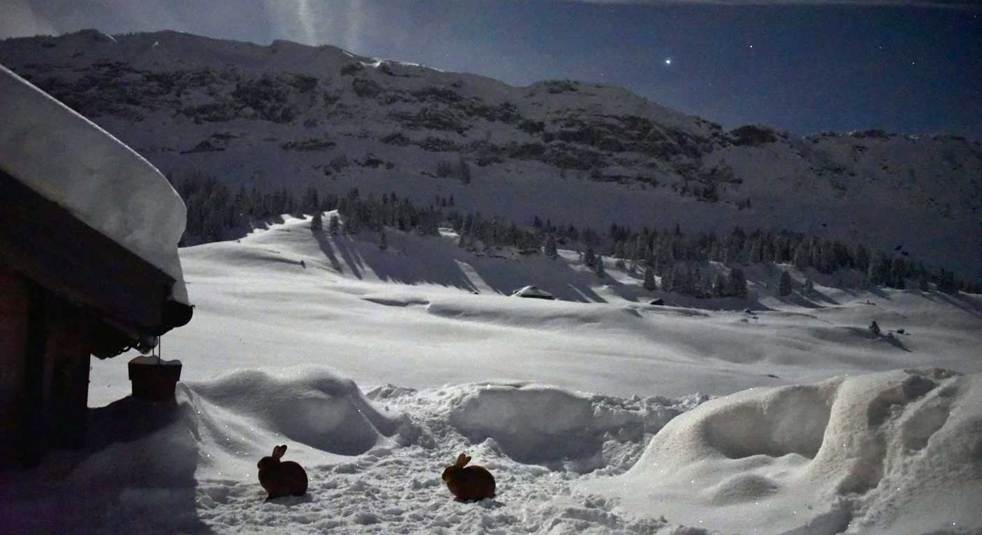 ambiance refuge de montagne gite Notre Dame des Neiges Haute Savoie Alpes du nord