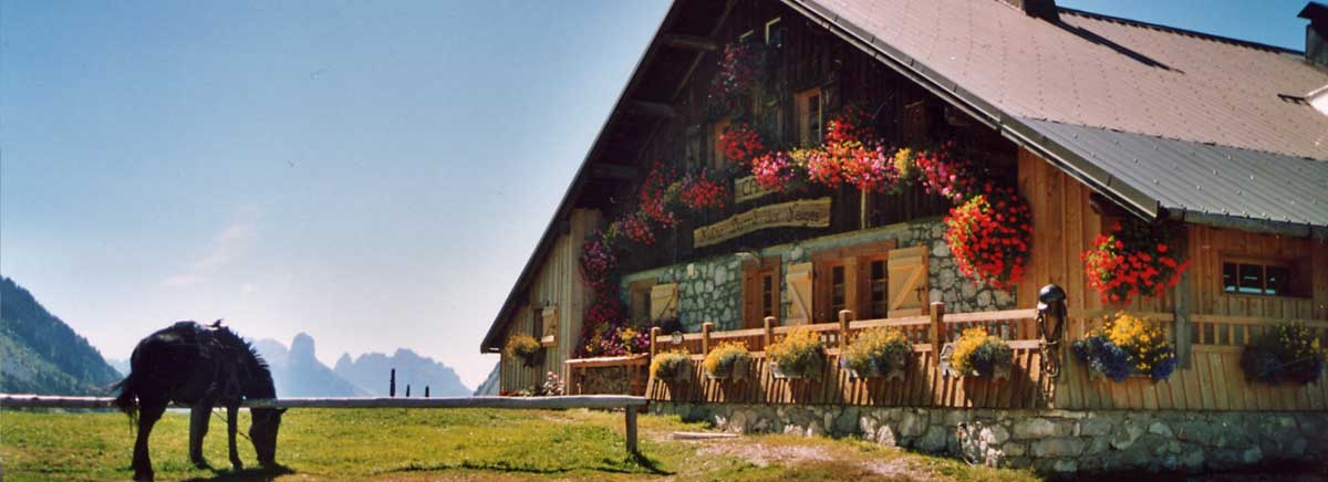 Gite refuge plateau des Glières ouvert toute l'année été comme hiver notre gîte vous accueille pour toutes vos fêtes et sortie entre amis Notre Dame des Neige Plateau des Glières