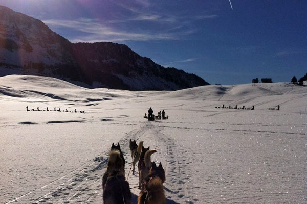 Chalet refuge plateau des Glières Le chalet se situe sur le parcours de ski de fond du plateau des Glières