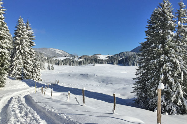 Repas du montagnard Gite Notre Dame des Neige Le repas des montagnards, rien de tel après une bonne rando... Restaurant situé sur le plateau des Glières en Haute Savoie arvimedia